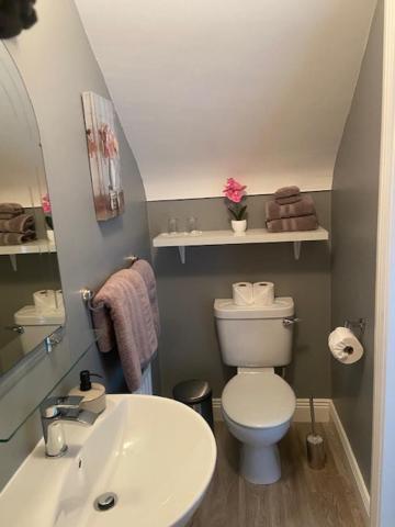 דולין Knockaguilla House Bed & Breakfast מראה חיצוני תמונה